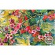 WATERMARK GREETING CARD QUEENSLAND LACEBARK